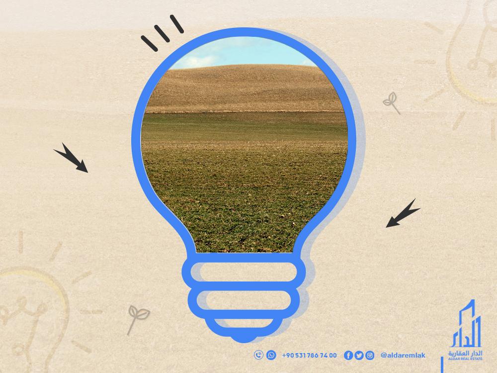 كل ما تحتاج معرفته عن الاستثمار الزراعي في تركيا